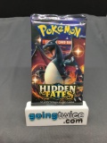 Factory Sealed Pokemon Hidden Fates 10 Card Booster Pack - Original Print Run!