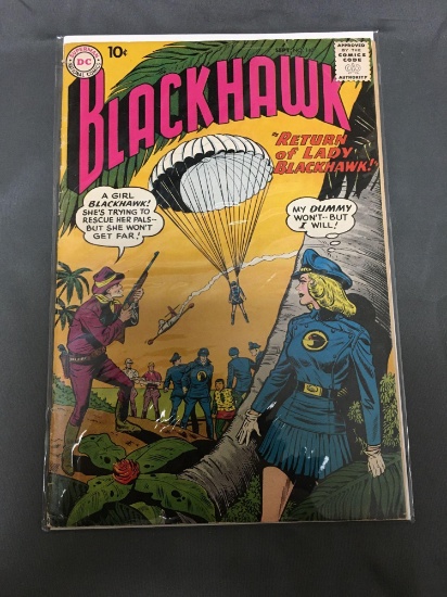 Vitnage BLCAKHAWK #140 Comic Book from Estate Collection