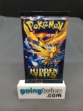 Factory Sealed Pokemon HIDDEN FATES 10 Card Booster Pack