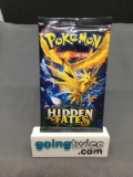 Factory Sealed Pokemon HIDDEN FATES 10 Card Booster Pack - Shiny CHARIZARD GX?