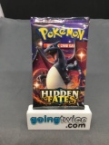 Factory Sealed Pokemon HIDDEN FATES 10 Card Booster Pack - Shiny CHARIZARD GX?