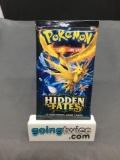 Factory Sealed Pokemon HIDDEN FATES 10 Card Booster Pack - Shiny CHARIZARD GX?