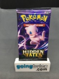 Factory Sealed Pokemon HIDDEN FATES 10 Card Booster Pack - Shiny CHARIZARD GX?