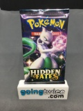 Factory Sealed Pokemon HIDDEN FATES 10 Card Booster Pack - Shiny CHARIZARD GX?