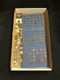 Tray of United States Wheat Pennies and Buffalo Nickel Collection from Estate