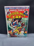 Marvel Comics MARVEL TEAM-UP #8 Spider-Man and The Cat Vintage Bronze Age Comic Book from Estate