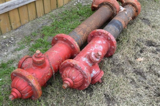 Set of 2 Fire Hydrants