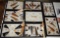 Collection of Arrowheads - 8 Cases and 3 Individual Spears