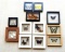 12 Framed Butterfly Collection from Various Countries