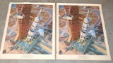 Set of 2 NASA Digital Prints