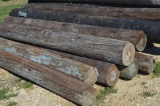 Group of 10' Utility Poles - 14 Total