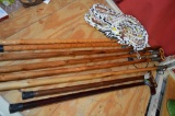 Collection of Walking Sticks