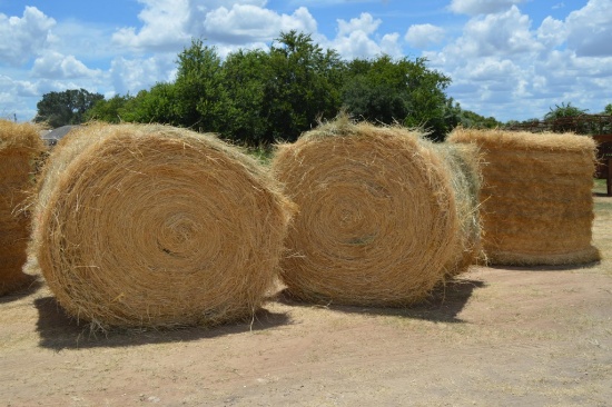 3 Round Hay Bales of Tifton Grass, Cut first part of July