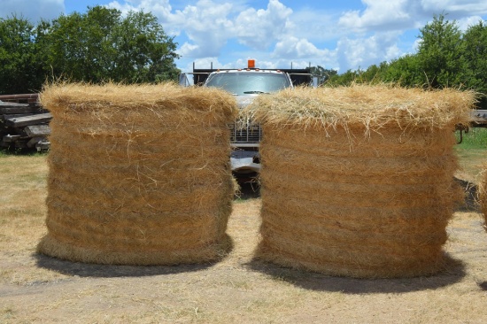 2 Round Hay Bales of Tifton Grass, cut first part of July