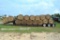 28 Round Bales of Bermuda Bahia Mix Hay - Fertilized - Cattle/Horses/Sheep/Goats/Alpacas/Buffalo