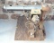 Vintage Craftsman Radial Saw