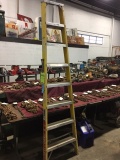 Michigan 8' fiberglass step ladder