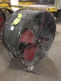 Hot Buster shop fan