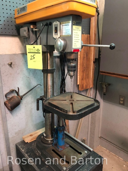 Ironsmith 12 speed drill press.