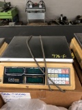 CAS SC 25P Counting Scale