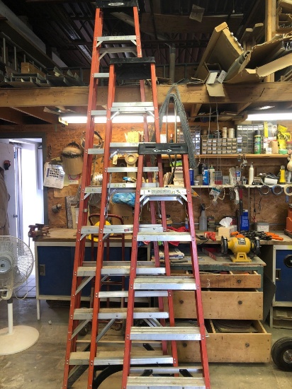 Werner 6 ft Fiberglass Step Ladder