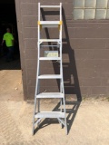 Werner Job Master Aluminum 386 Job Ladder