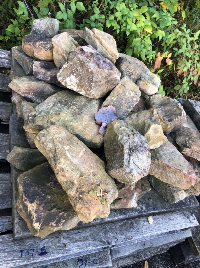 Assorted pallet of Rock