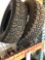 Radial Steel belt snow tires (2).