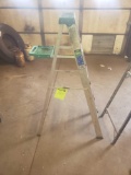 5 ft werner ladder