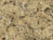 Ouro Brazil Granite Slab 139