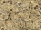Ouro Brazil Granite Slab 122