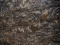 Asterix Granite Granite Slab 115