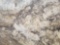 Betularie Granite Slab 102