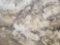 Betularie Granite Slab 110