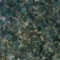 Butterfly Green Granite Slab