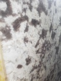 Splendor White Granite Slab 116 