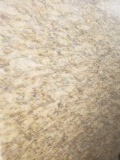 New Venetian Gold Granite Slab 124