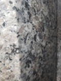Granite Slab 124