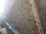 Kashmir Gold Granite Slab 85