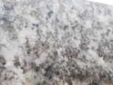 Antico White Granite Slab 113