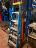 Werner 6ft Fiberglass ladder