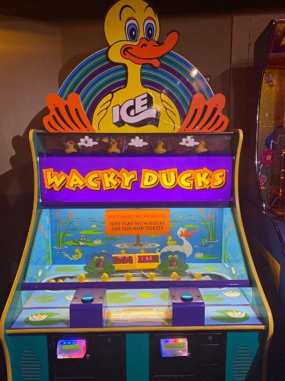 Ice Wacky Ducks Dual Knockout Game