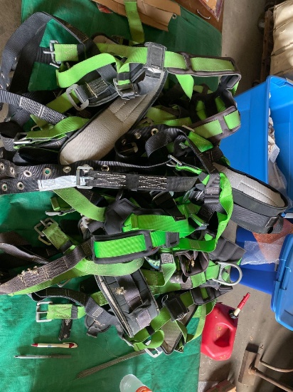 Group of (8) Used Safety Lanyards.