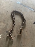 Lifting chain with D Ring