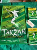 Tarzan Signed by original cast Framed Broadway Show Poster 22x14