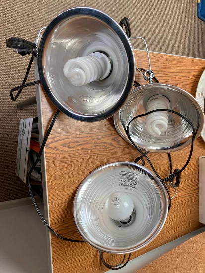 3 Painters Lights
