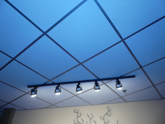 Track Lighting and Can Lights in Foyer by Auditorium