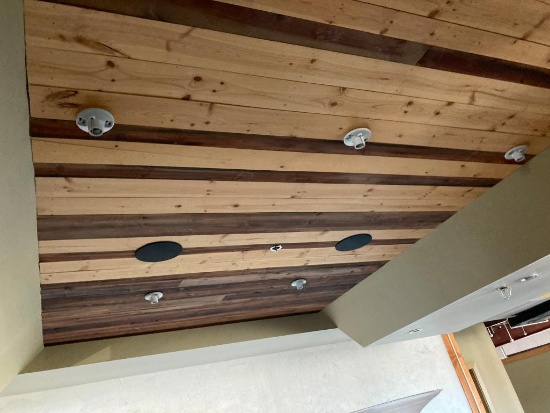 Speakers in Ceiling - Front of House and Arcade Area
