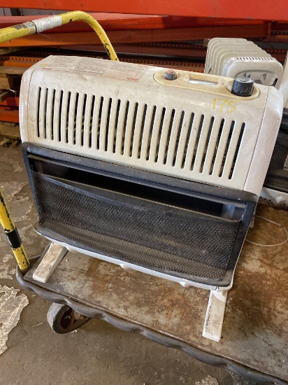 Gas Space Heater