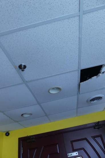 Can Lights in Ceiling